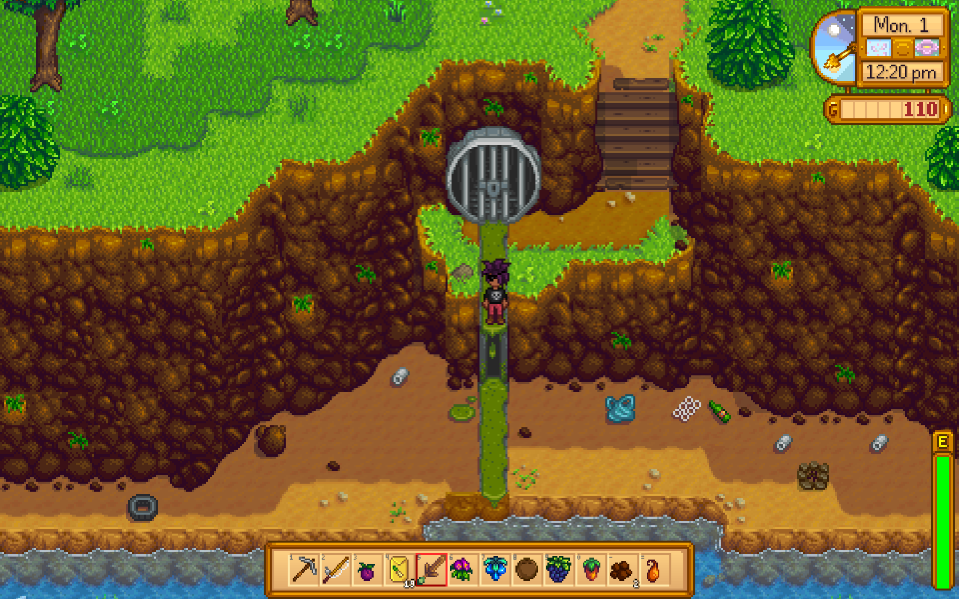 Stardew Valley Blog