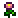 :flower: